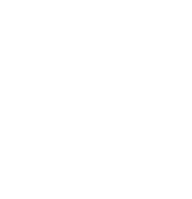 Erisil LTD Logo